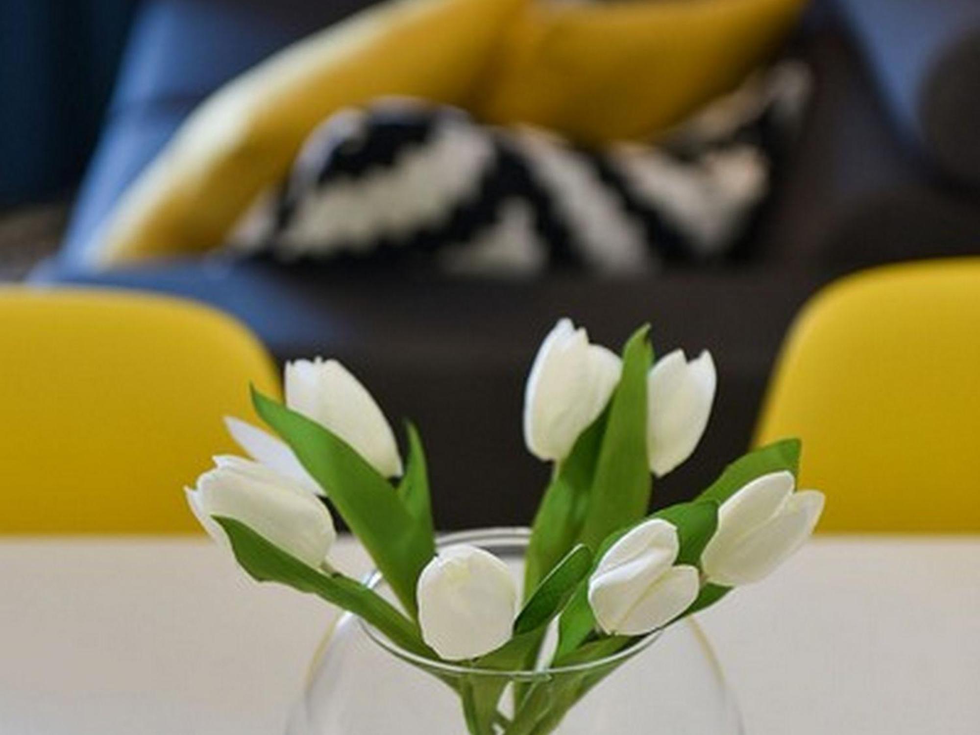 Mediterraneo Garden Apartments เพทรอซาเน ห้อง รูปภาพ